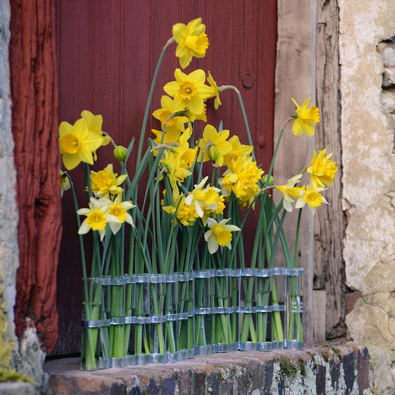 April Vase Classic