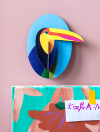 Little Toucan