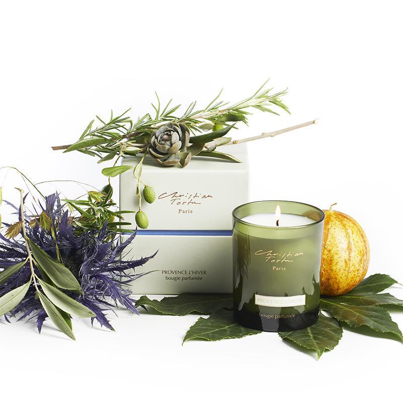 Scented candle in glass jar with rosemary, olive and leave. Designer home fragrance.