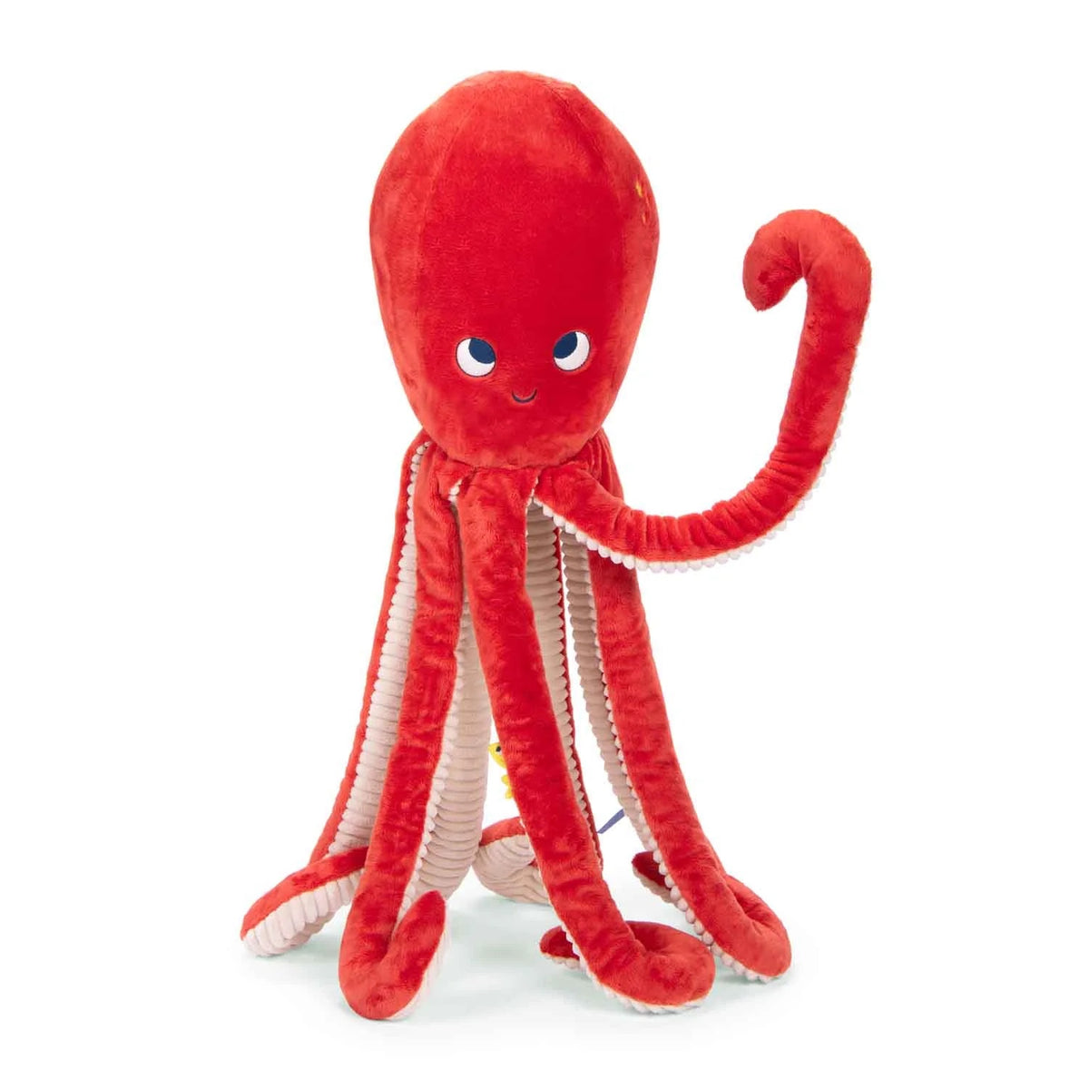 Giant Octopus
