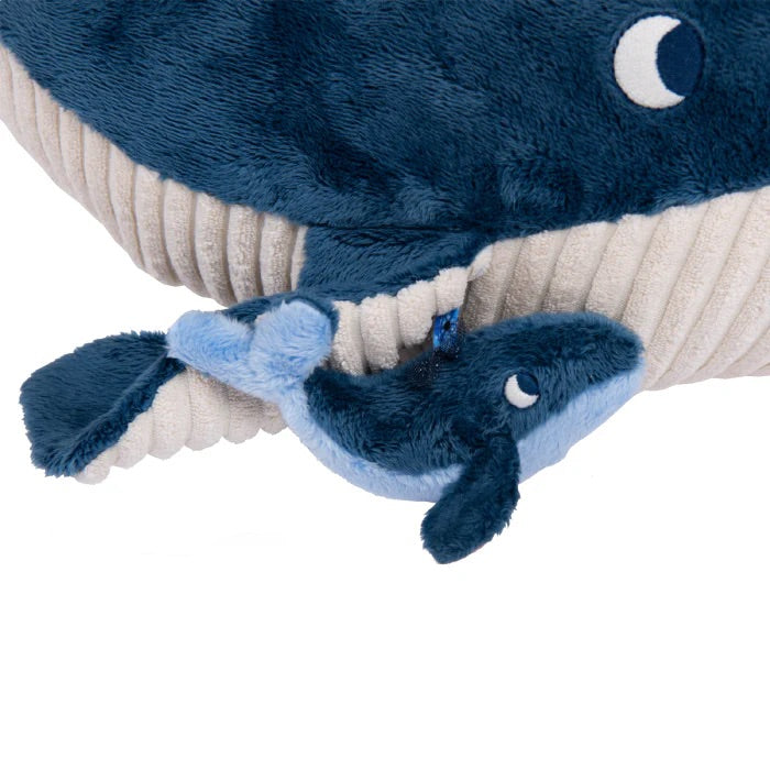 Large Activity Whale