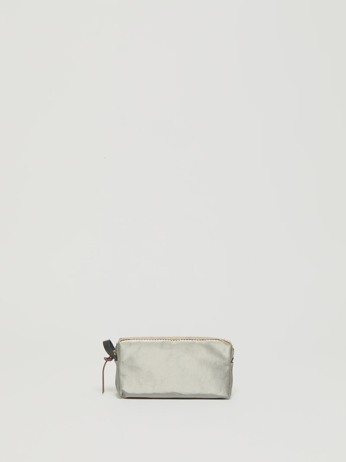 Blush Cosmetic Bag - Silver