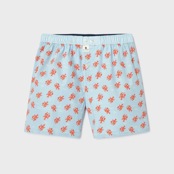 Cotton Boxer - Paimpol Bay
