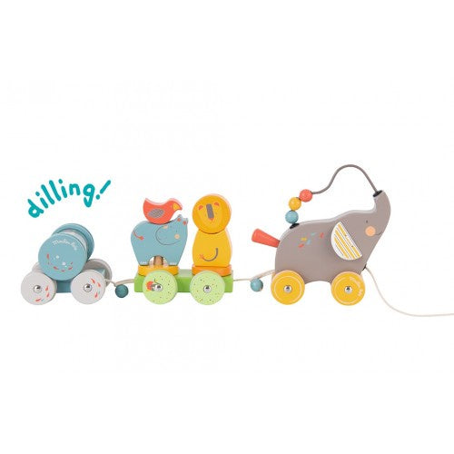 Pull-along Activity Elephant