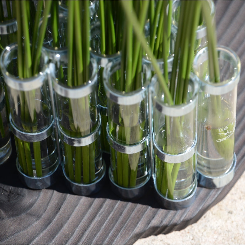 April Vase Classic